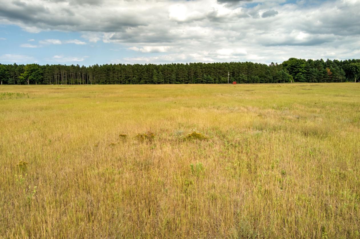 50.20 ACRES – BUILD YOUR EQUESTRIAN ESTATE & FARM - photo 9