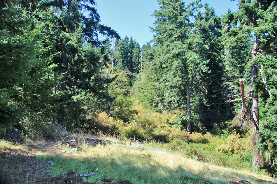 80 ACRES ON SAN JUAN ISLAND, WA Friday Harbor, San Juan County
