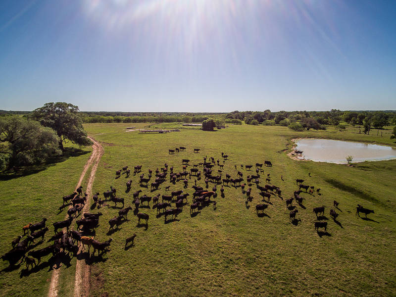 Historic River Ranch Brenham, Washington County, Texas Horse Properties