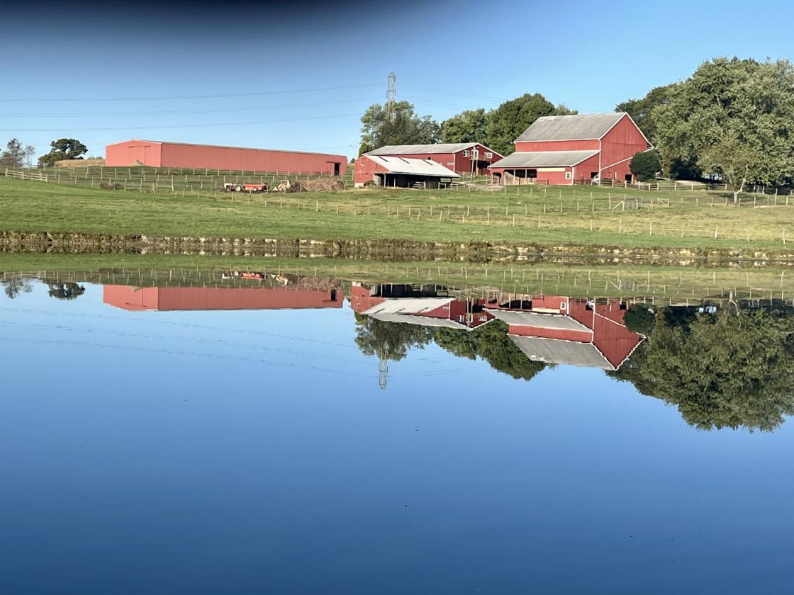 37-Acre 32 Stall Equestrian Estate w/ INDOOR - photo 16