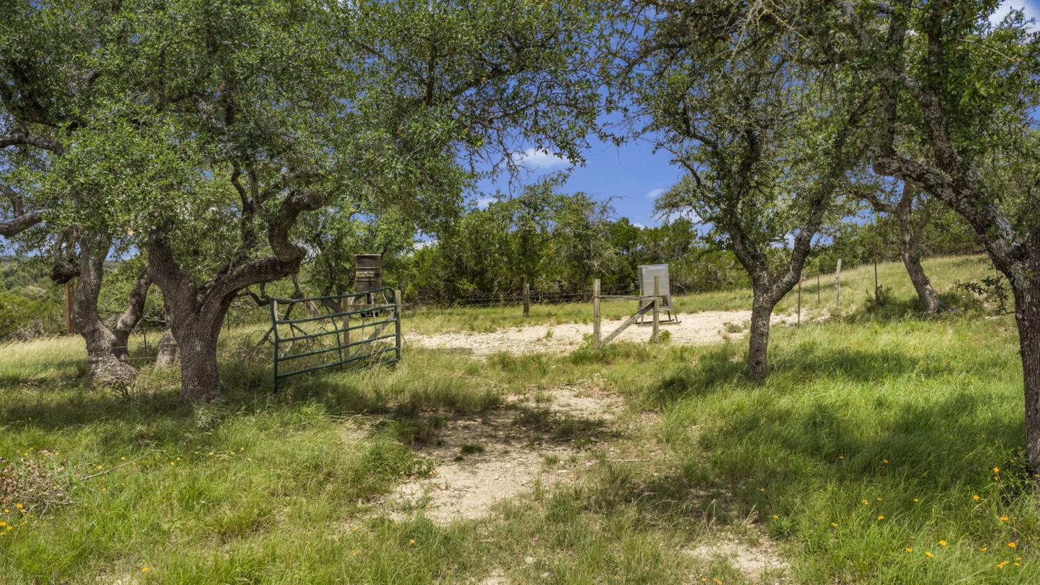 90 Acres in the heart of the Texas Hill Country - photo 10