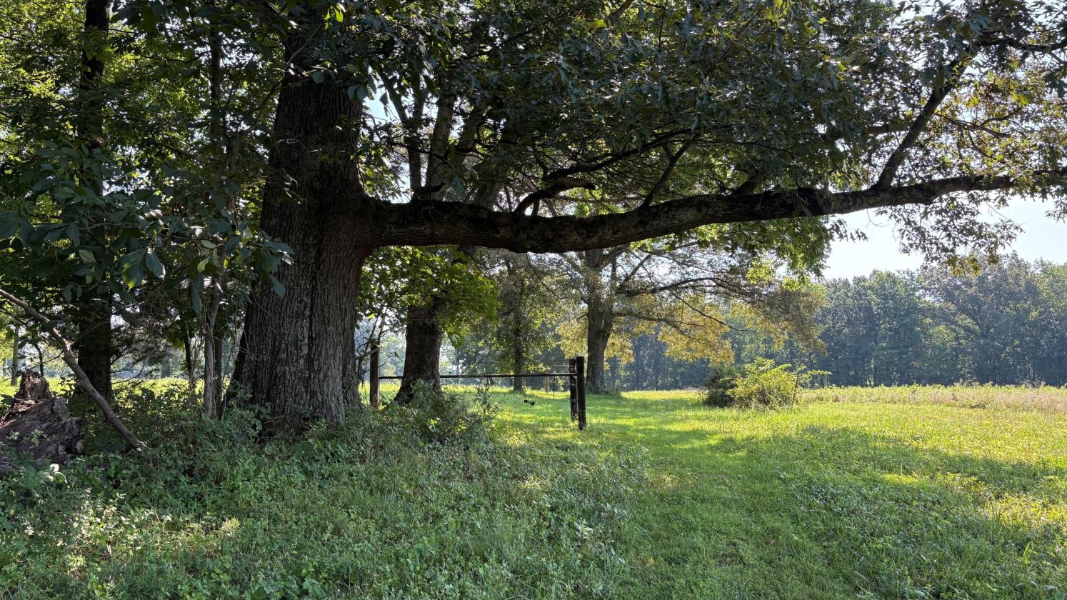 Southern Illinois Horse Farm with home - photo 28