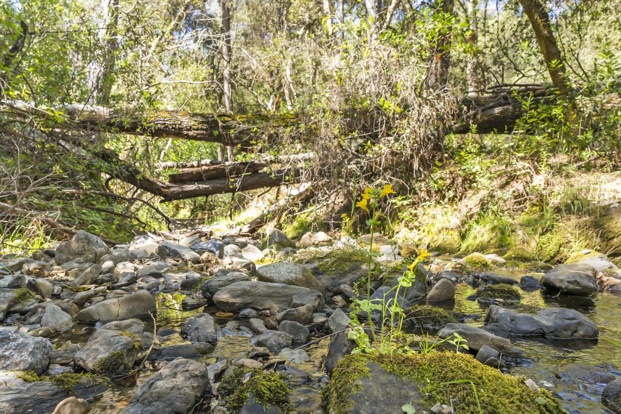 Amoruso Ranch - photo 16