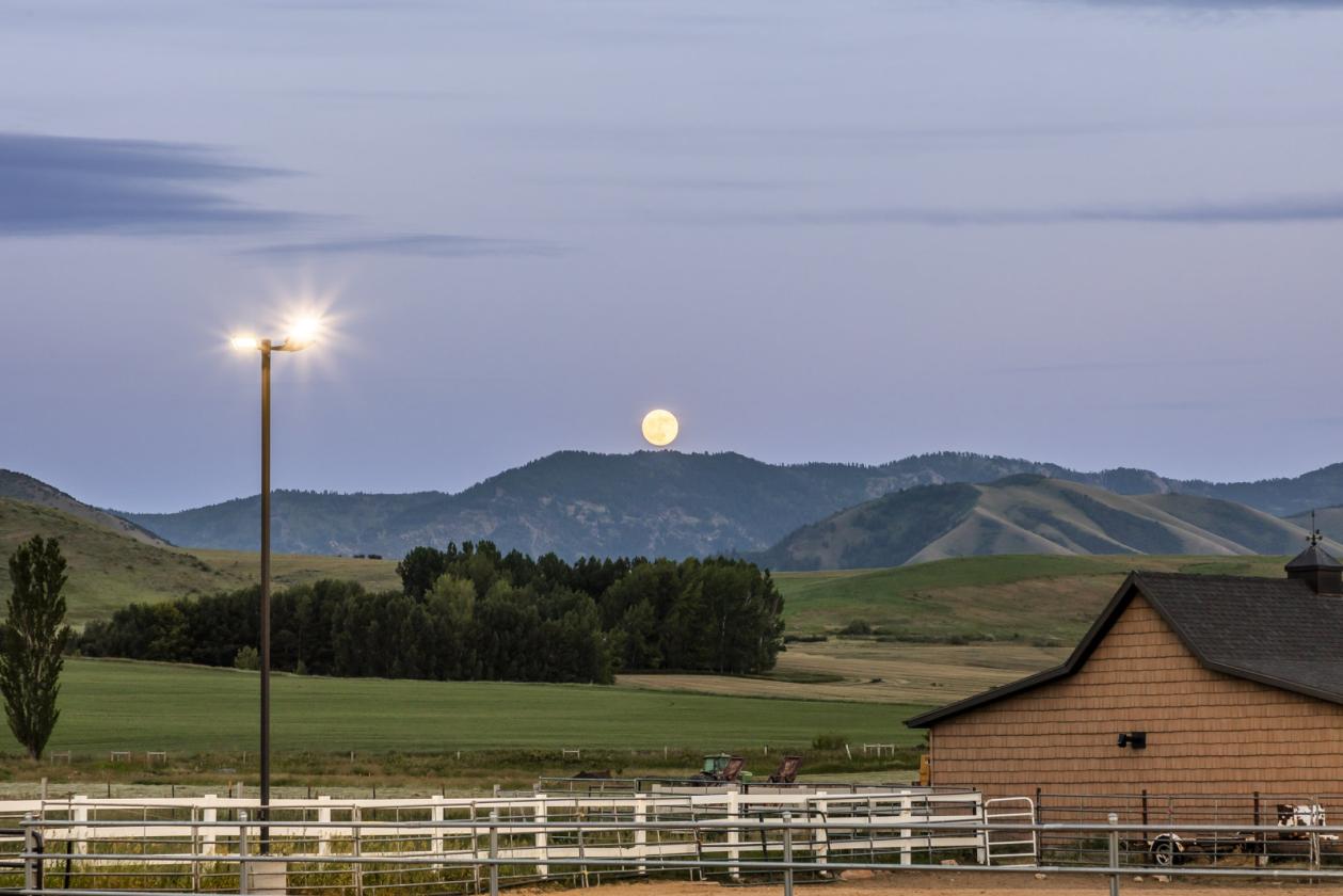 Horse Lover's Paradise - photo 29