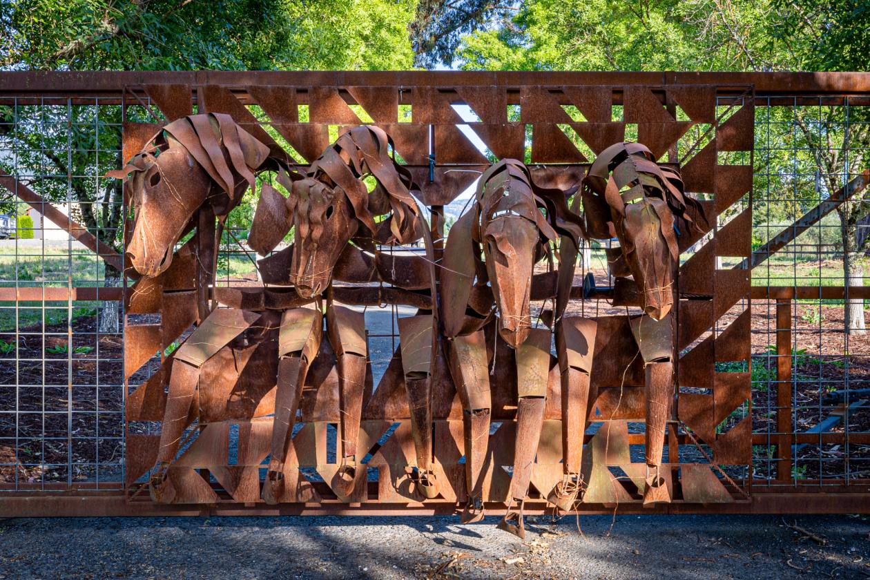 A Rare Two-Parcel Equestrian Estate in Napa Valley - photo 2