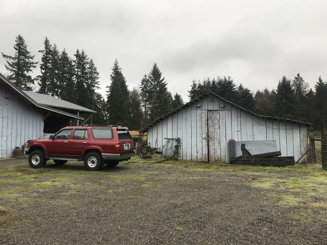 Great Family Farm in Thurston County w/60x60 covered arena Yelm