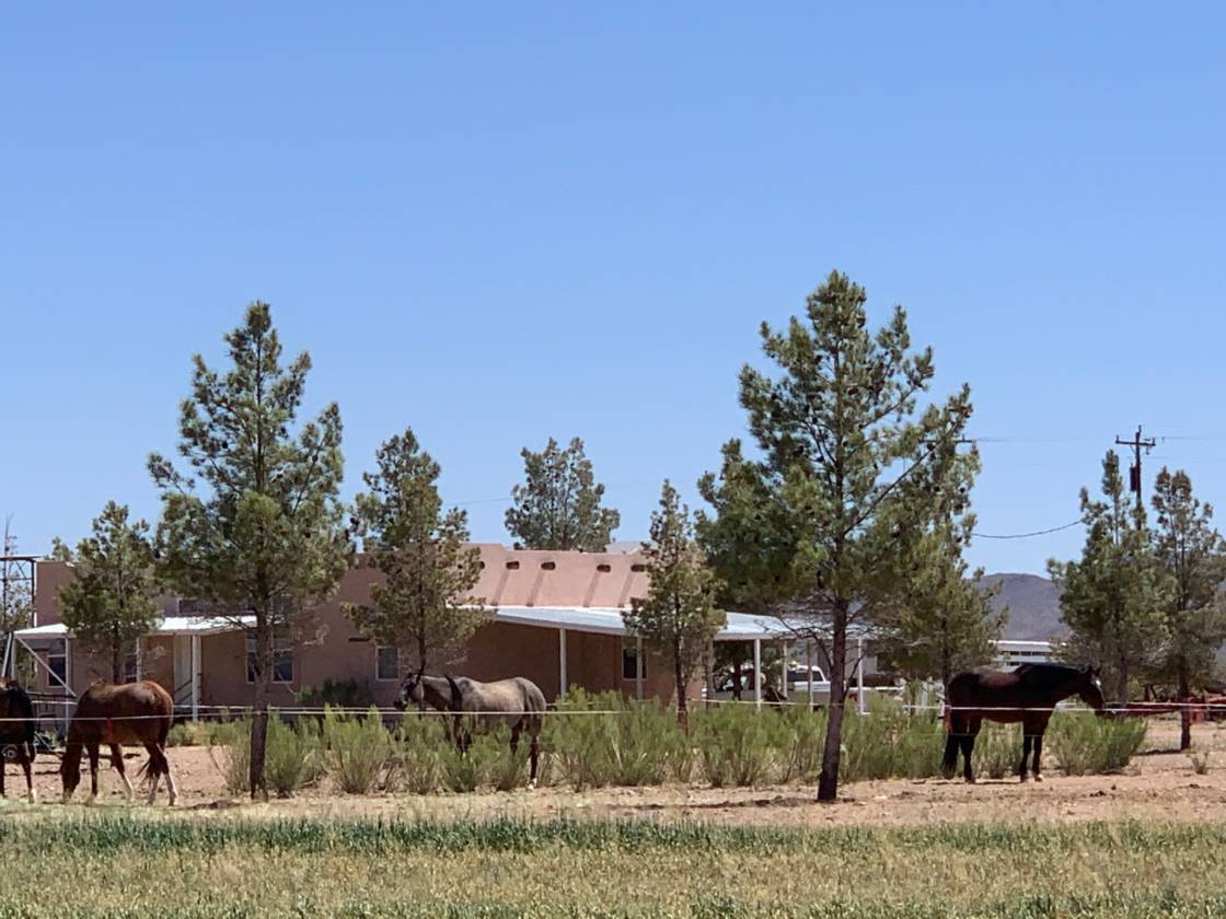 Horse Property for sale.