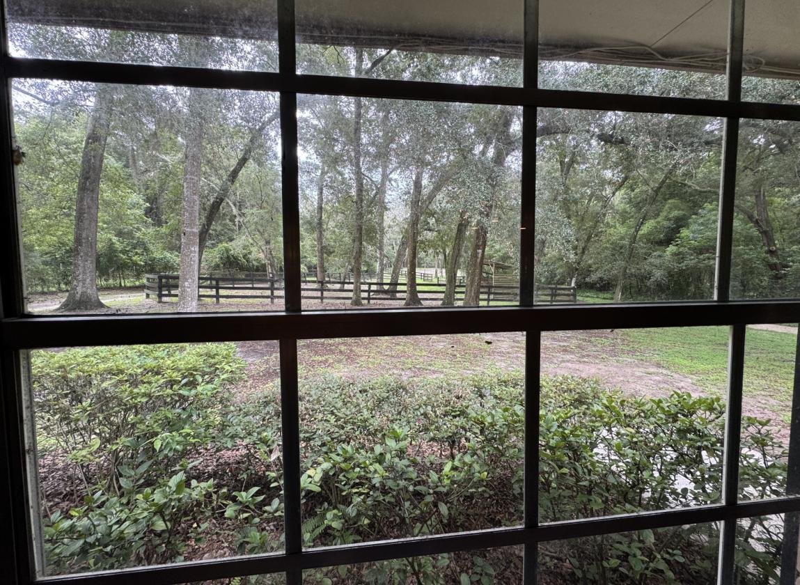 Country Charm, Suburban Ease in Central Florida - photo 12