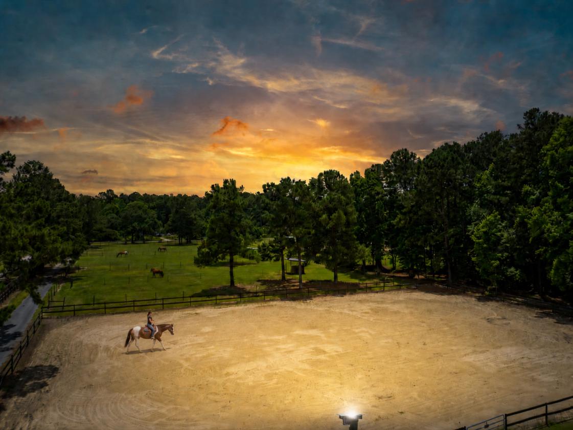 14 Acre Working Horse Farm Outside of Charleston - photo 1