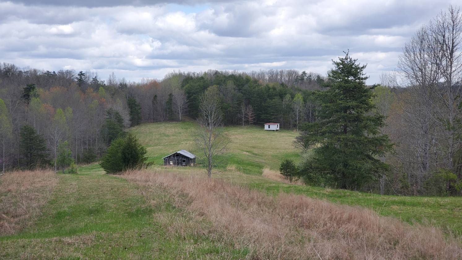 225 Acres of Seclusion w/ Pond and Home Ashton, Mason County, West Virginia