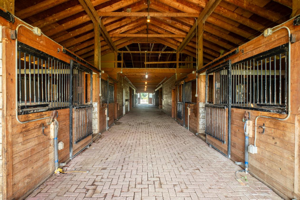 Equestrian Property with Modern Home and Fab Views - photo 9