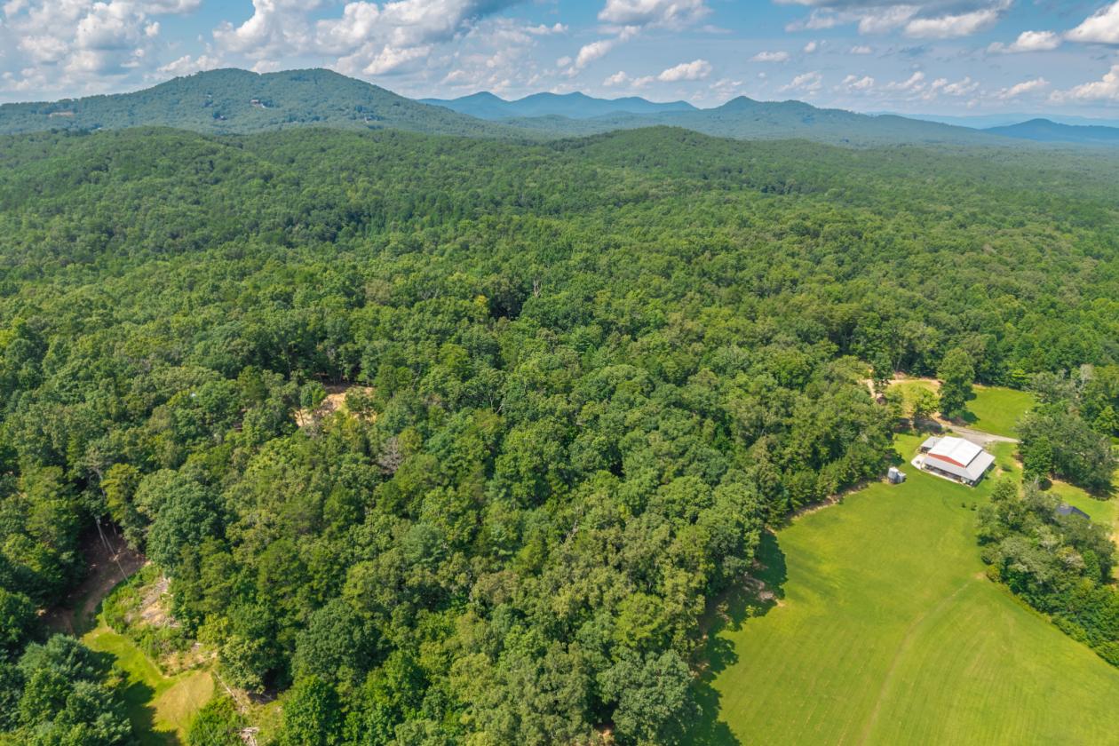 19.9 AC with 7AC Cleared Pasture & Barn - photo 8