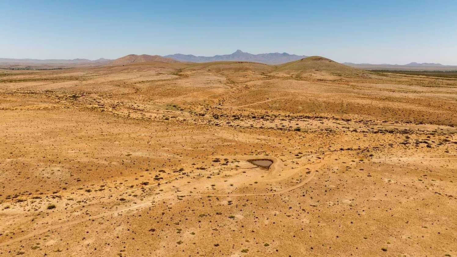 Horse Property for sale.