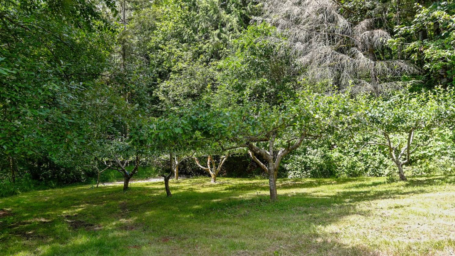 27 Acre Forest Trails Wonderland - photo 23