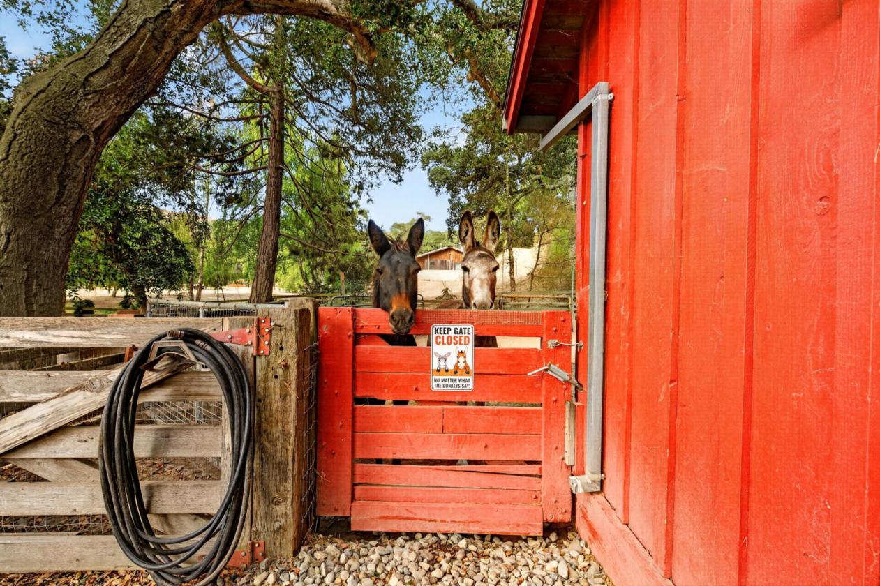Exceptional Salinas Ranch:  Guest Quarters & Views - photo 16