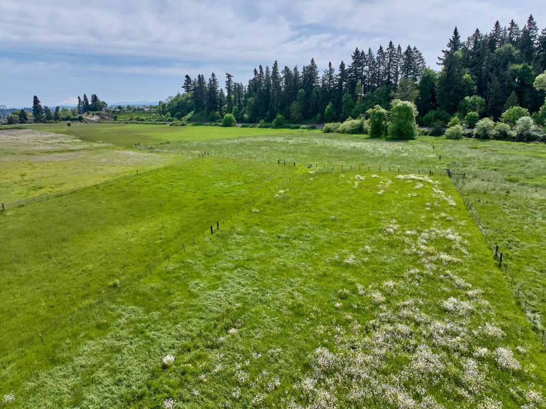 Horse Property in Aurora/Canby Area Deadend Road - photo 14