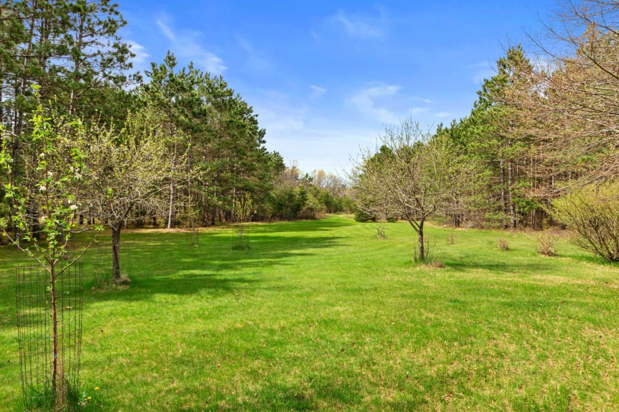Classic log home on 23 gorgeous wooded acres! - photo 17