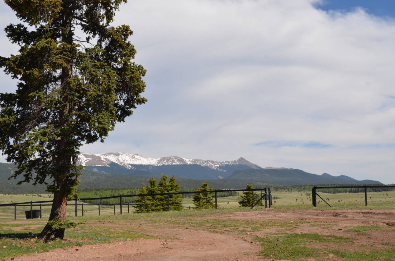 Colorado Equestrian Property Divide, Teller County, Colorado \ Horse Property