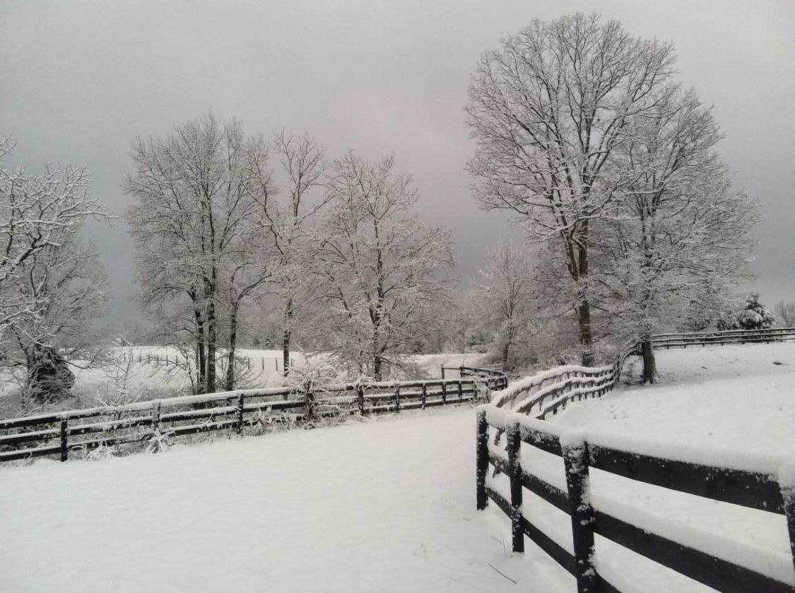 Horse Farm for sale Pleasureville, Henry County, Kentucky