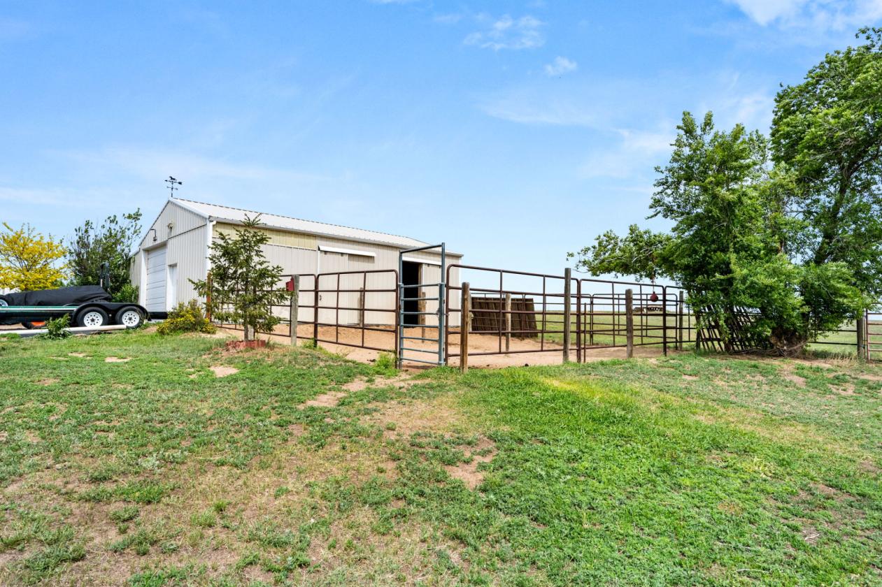 Pikes Peak Views & Horse-Ready Living - photo 25