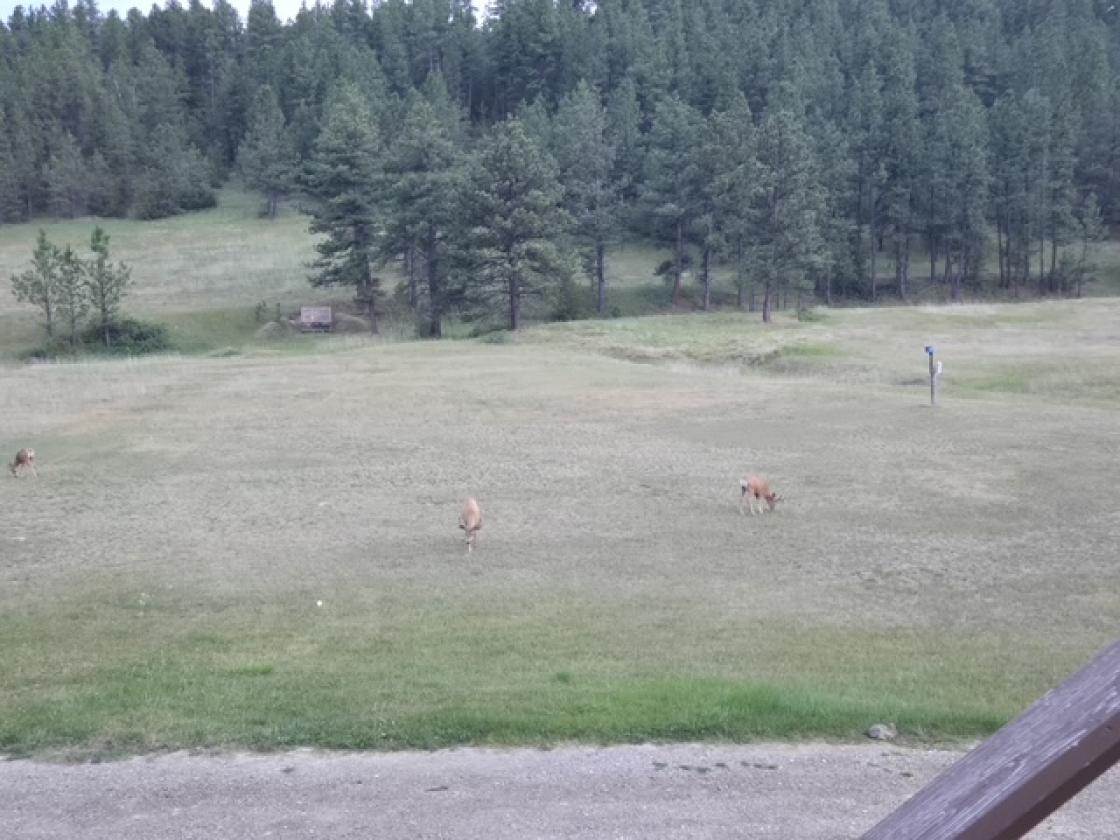 Live in Big Sky Country - photo 8