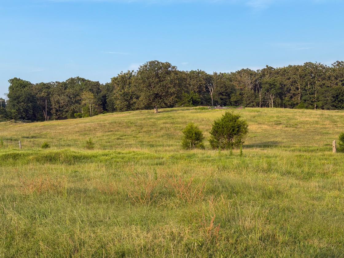 139 Acre Farm - Horse & Livestock Ready - photo 17