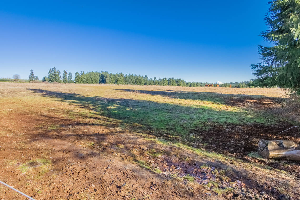 64+ Acres w/Mountain Views in Clackamas County Oregon Mulino