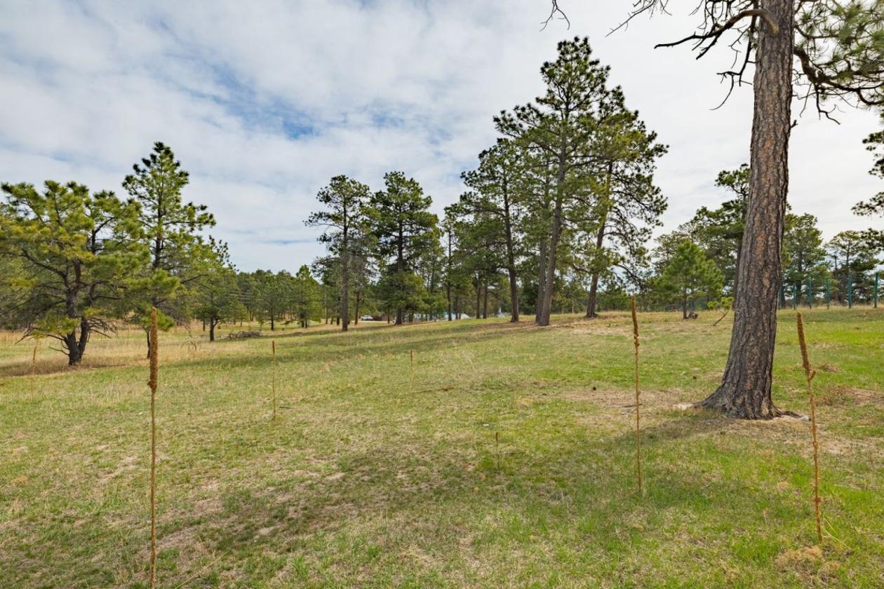 Historic Pine Run Ranch in Black Forest on 60AC - photo 19