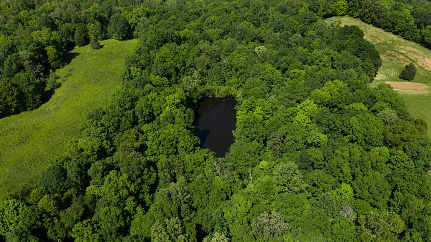 125-Acre Kentucky Farm with Pond, Pasture & Woods - photo 7