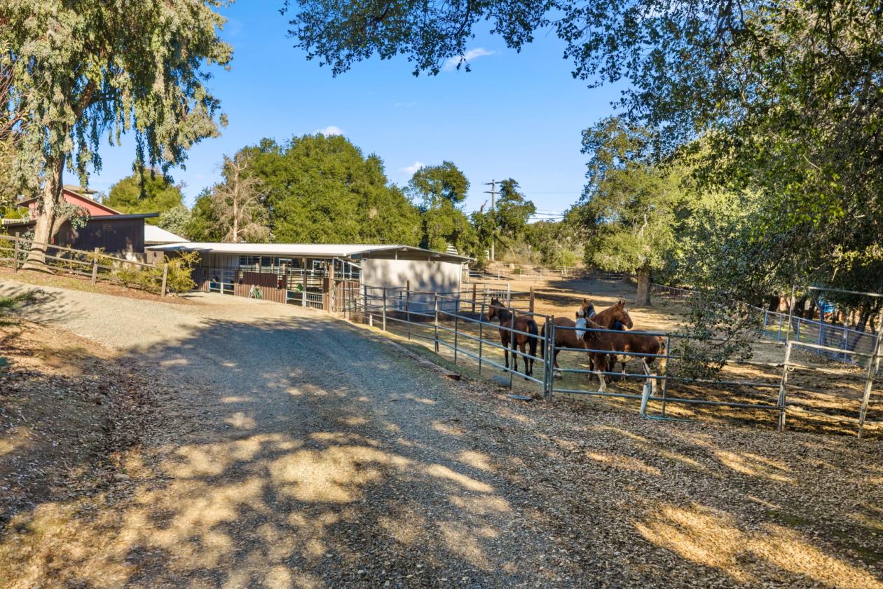 Horse Ranch in Ortega Mountian - photo 11