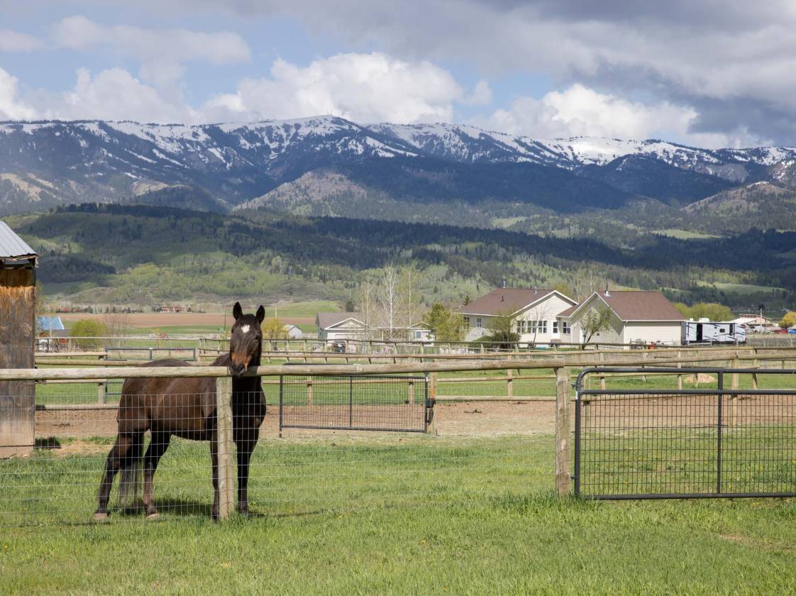 Horse Property for sale.