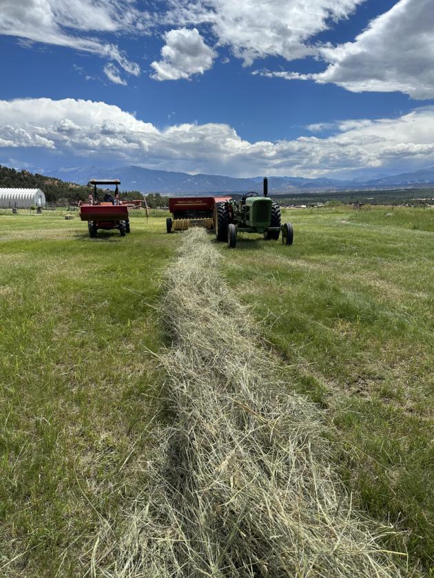 Horse property with multiple income streams - photo 21