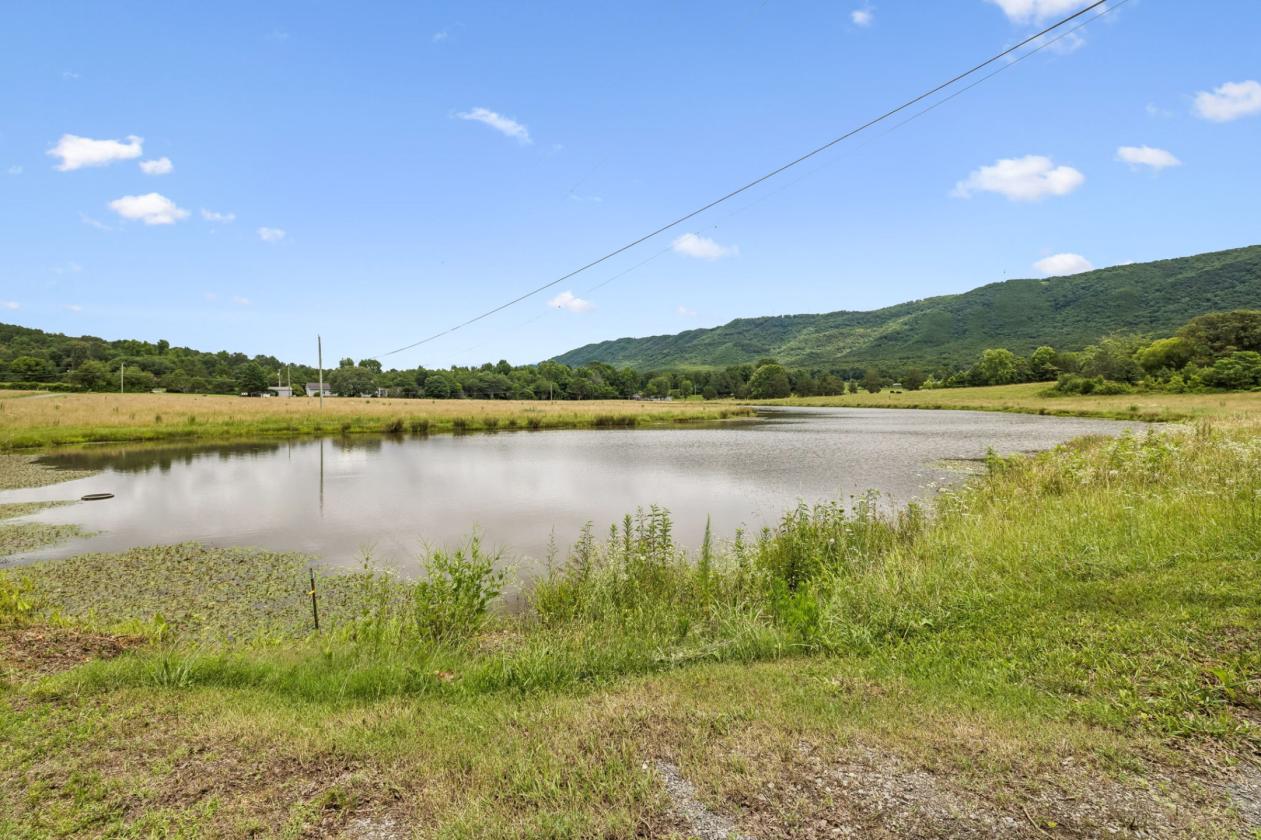 25± ACRE East Tennessee Farm / Equestrian Property - photo 9