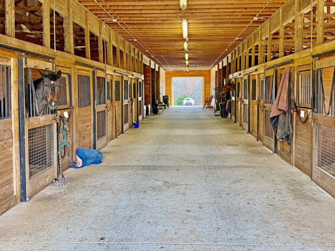 Comfortable country house, 38 acres 10 stall - photo 9