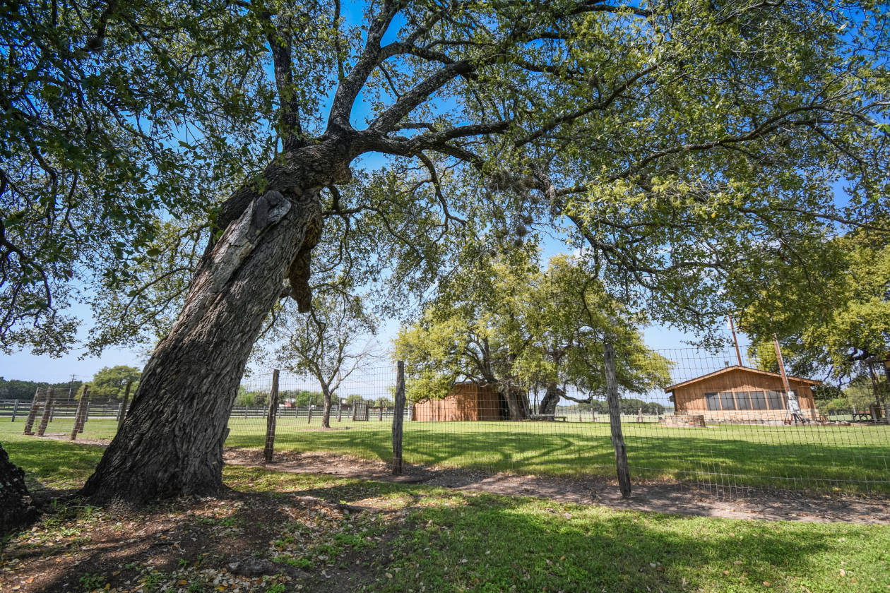 Remarkable Property Offering 18.95 Meticulously Manicured Acres