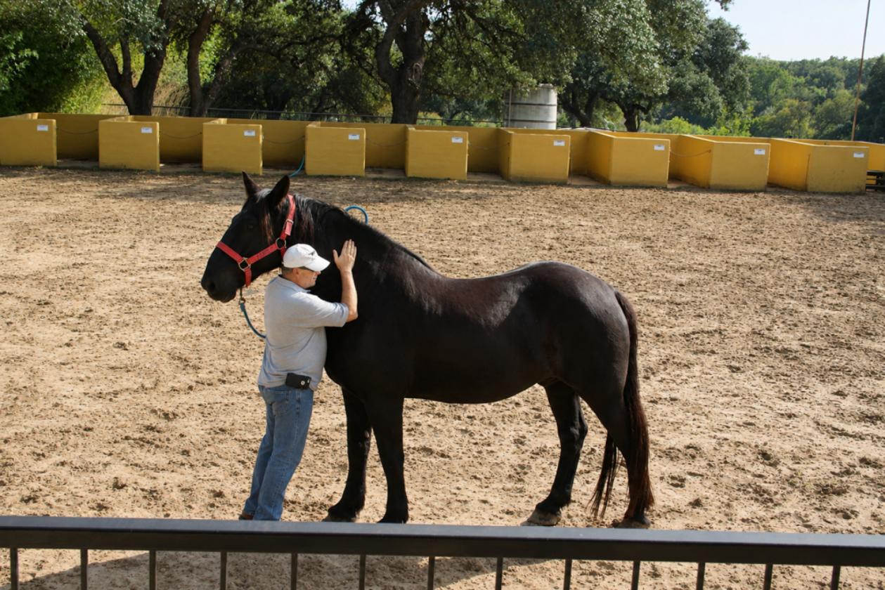 98± Acre Farm & Ranch North of San Antonio - photo 12