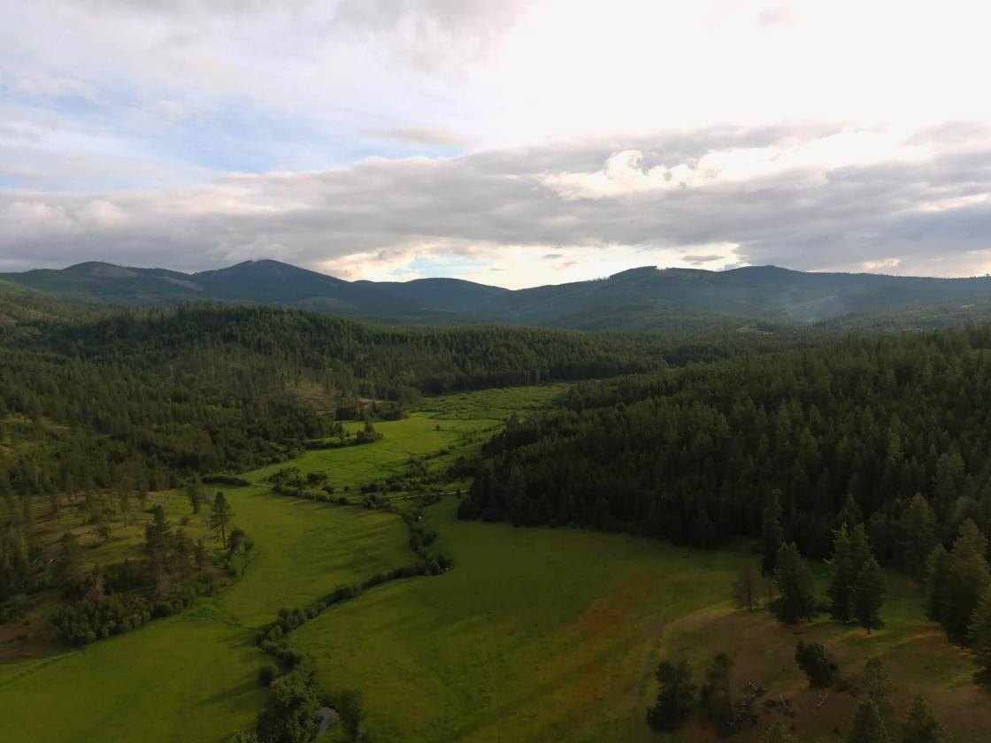 Blanchard Creek Valley - photo 17