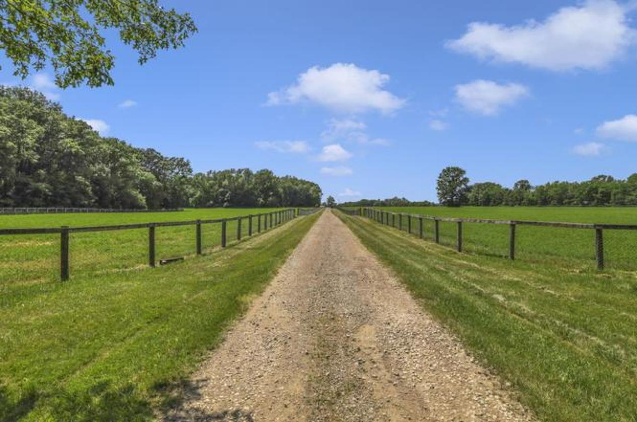 Luxury 57+ Acre Equestrian Estate -- NNN LEASE - photo 8