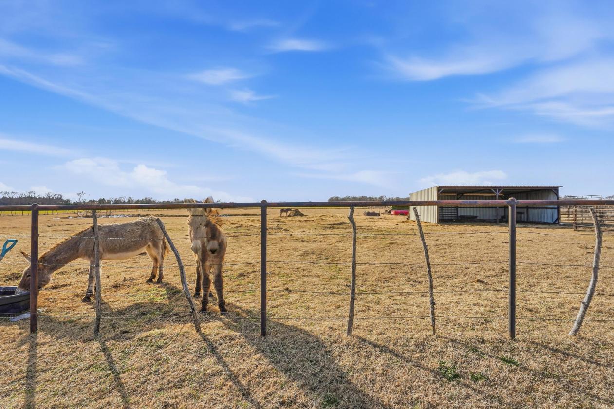 Lovely home with Pool on 9+/- AC Fully Pipe Fenced - photo 22