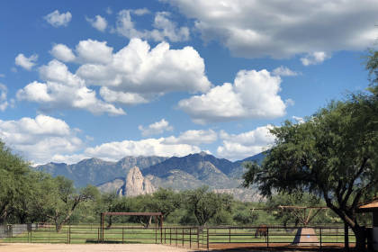 Property image.
