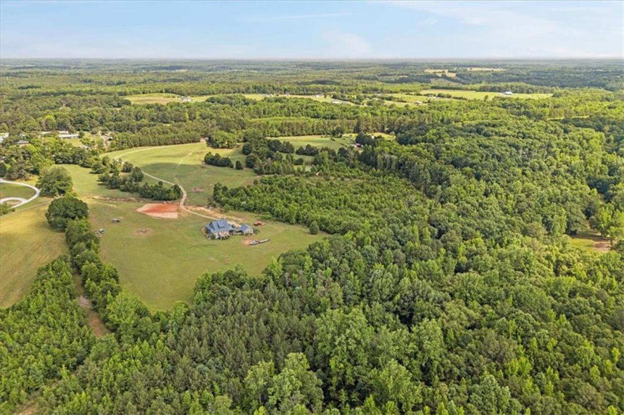 Farmhouse with Southern Hospitality & Open Pastures - photo 24
