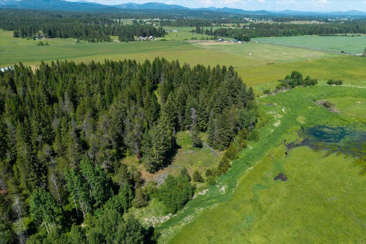 26 Level Acres with Nice Views! - photo 7