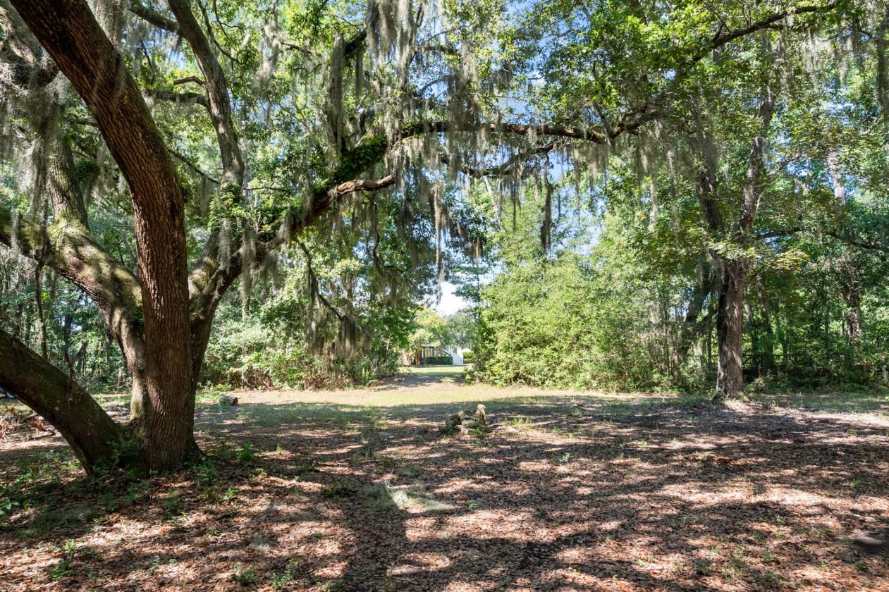 31 Acres with 4-Bedroom Raised Home - photo 1