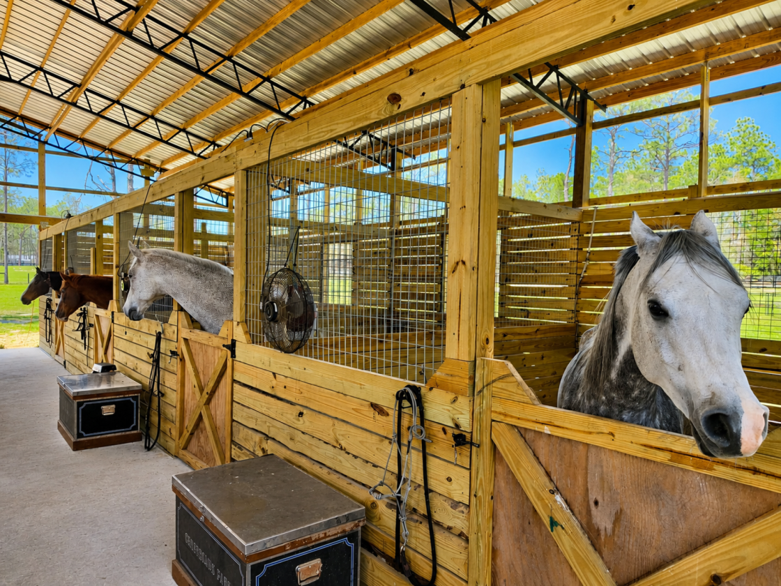 Turnkey Equestrian Farm | 7 Stalls, Arena - photo 5