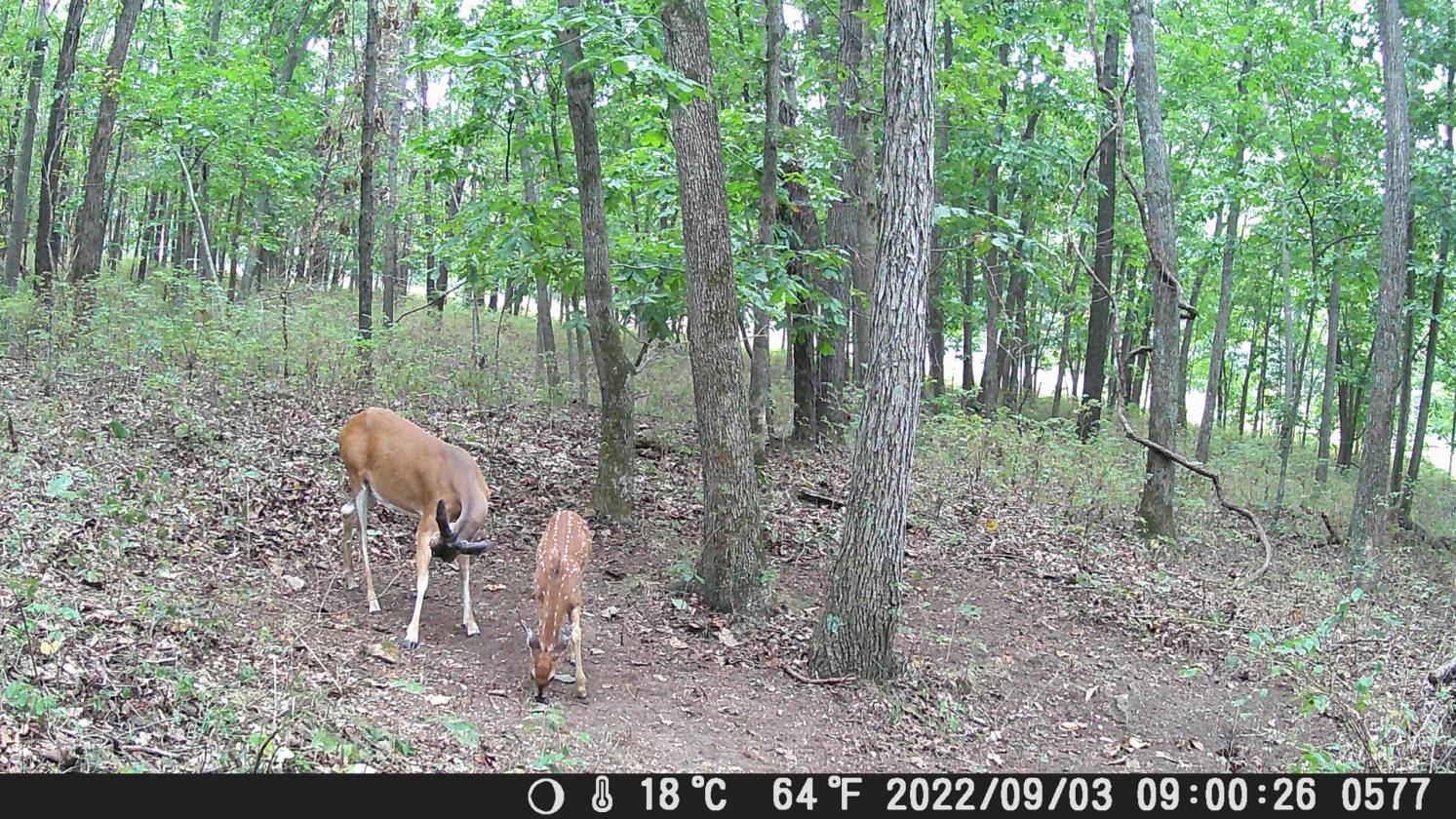 Luxury secluded home, 41 acres arena down the road - photo 20