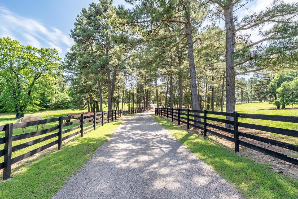 An Iconic Equestrian Estate - photo 10