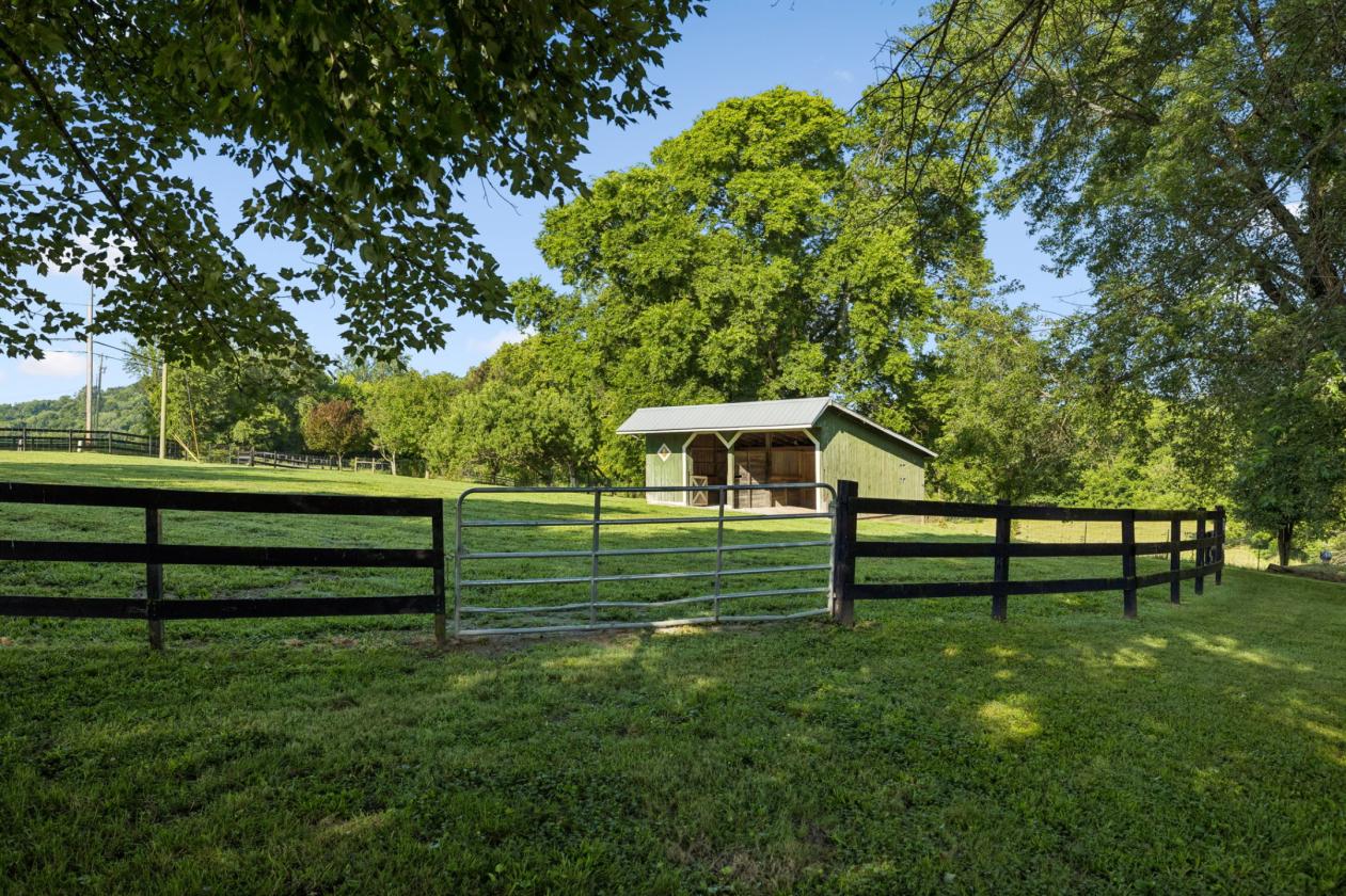 Equestrian Sanctuary with Arena on 5 acres - photo 14
