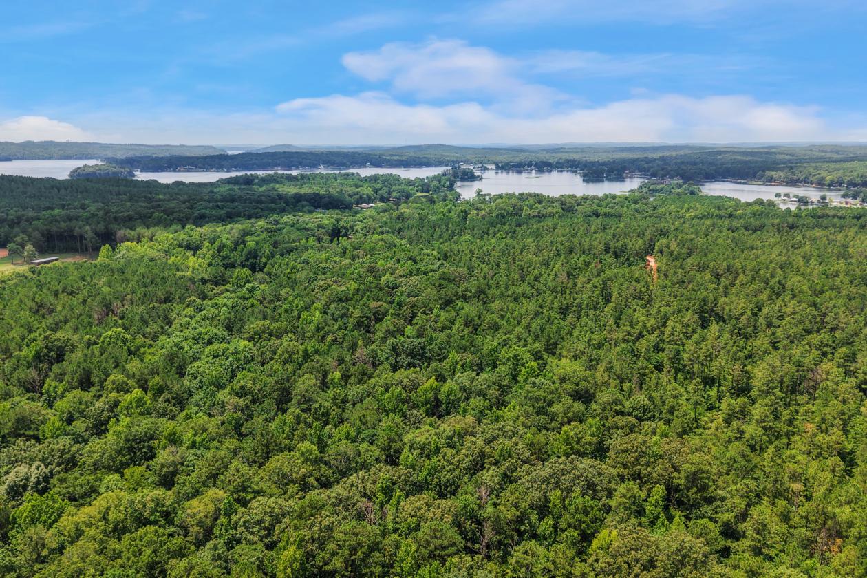 89.99 acre horse farm with lighted arena & more - photo 3