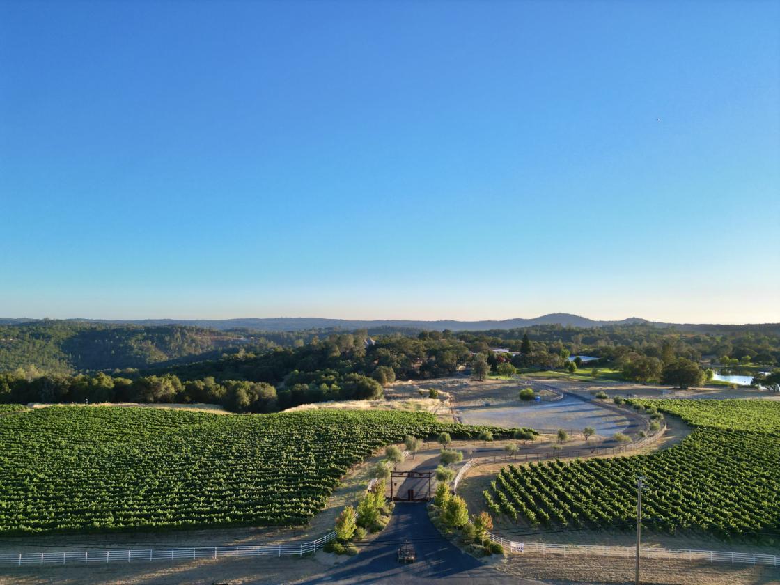116-Acre Luxury Equestrian Estate & Vineyard - photo 28