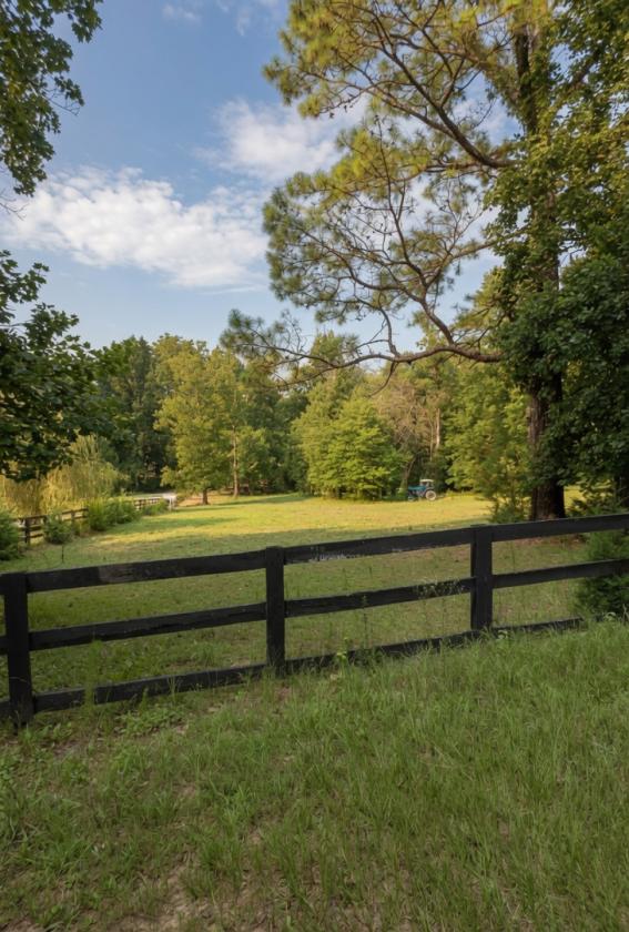 Ly-Nard Farm - photo 5